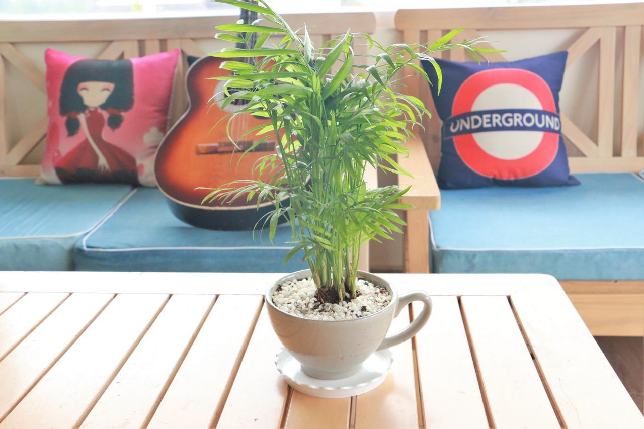 Dalat Eco Home المظهر الخارجي الصورة
